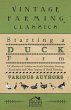 Starting a Duck Farm - A Collection of... - Bild 1