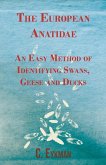 The European Anatidae - An Easy Method of Identifying Swans, Geese and Ducks