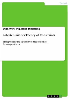 Arbeiten mit der Theory of Constraints - Diedering, René