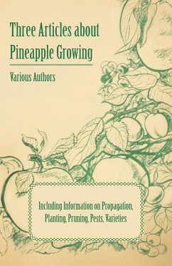 Three Articles about Pineapple Growing - Including Information on Propagation, Planting, Pruning, Pests, Varieties - Various