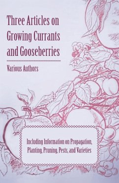 Three Articles on Growing Currants and Gooseberries - Including Information on Propagation, Planting, Pruning, Pests, Varieties - Various