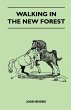 Walking in the New Forest - Bild 1