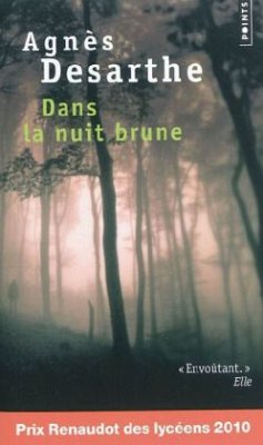 Dans la nuit brune - Desarthe, Agnès