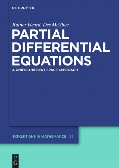 Partial Differential Equations - Picard, Rainer;McGhee, Des