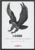 Ligabue. Il mio nome non ha importanza Ligabue. Il mio nome non ha importanza