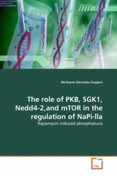 The role of PKB, SGK1, Nedd4-2,and mTOR in the regulation of NaPi-lla - Dërmaku-Sopjani, Miribane