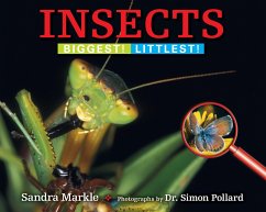 Insects - Markle, Sandra