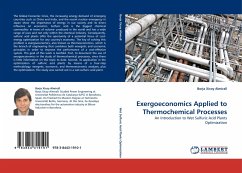 Exergoeconomics Applied to Thermochemical Processes - Xicoy Almirall, Borja