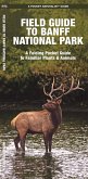 Field Guide to Banff National Park