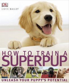 How to Train a Superpup - DK; Bailey, Gwen