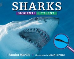 Sharks - Markle, Sandra