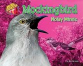 Mockingbird: Noisy Mimic