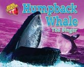 Humpback Whale: The Singer