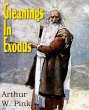 Gleanings in Exodus - Bild 1