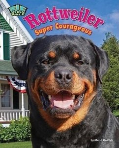 Rottweiler: Super Courageous - Goldish, Meish