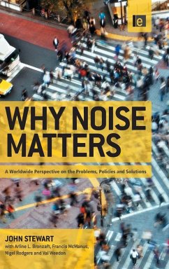 Cover Why Noise Matters