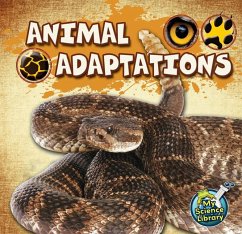 Animal Adaptations - Lundgren