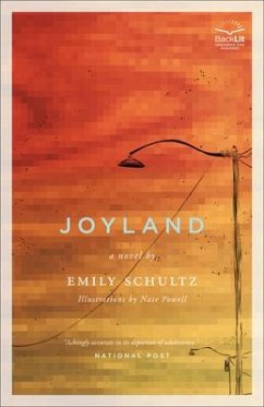 Joyland: How Punks Are Saving the World with DIY Ethics, Skills, and Values - Schultz, Emily