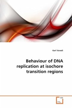 Behaviour of DNA replication at isochore transition regions - Varadi, Karl