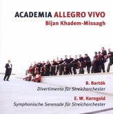 Academia Allegro Vivo