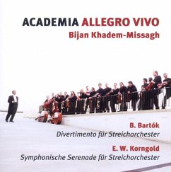 Academia Allegro Vivo - Khadem-Missagh,Bijan