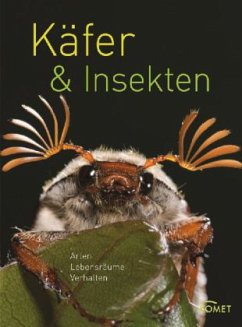 Käfer & Insekten - Kothe, Hans W.