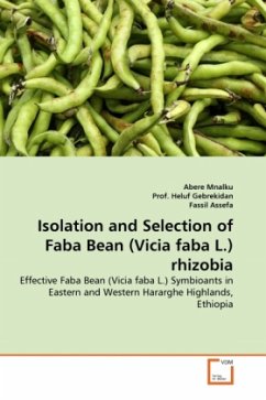 Isolation and Selection of Faba Bean (Vicia faba L.) rhizobia - Mnalku, Abere;Gebrekidan, Heluf;Assefa, Fassil