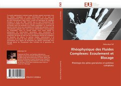 Rhéophysique des Fluides Complexes: Ecoulement et Blocage - Fall, Abdoulaye