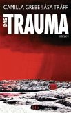 Das Trauma / Siri Bergmann Bd.2