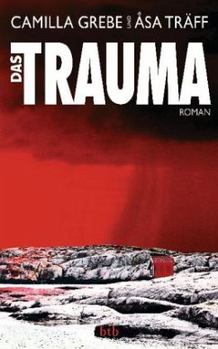 Das Trauma / Siri Bergmann Bd.2 - Grebe, Camilla; Träff, Åsa