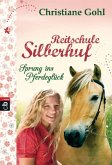 Sprung ins Pferdeglück / Reitschule Silberhuf Bd.1