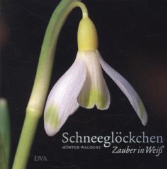 Schneeglöckchen - Waldorf, Günter