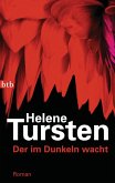 Der im Dunkeln wacht / Kriminalinspektorin Irene Huss Bd.9