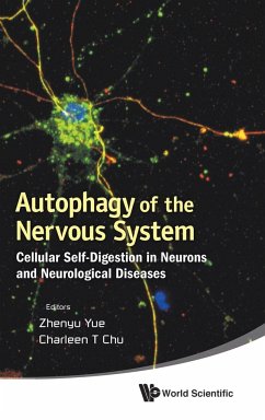Autophagy of the Nervous System