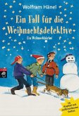 Ein Fall für die Weihnachtsdetektive