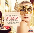 La Veneziana-Konzerte