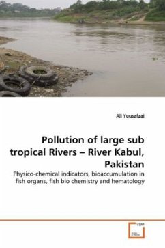 Pollution of large sub tropical Rivers - River Kabul, Pakistan - Yousafzai, Ali