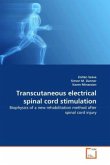 Transcutaneous electrical spinal cord stimulation