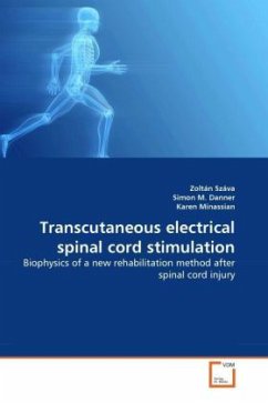 Transcutaneous electrical spinal cord stimulation - Száva, Zoltán;Danner, Simon M.;Minassian, Karen