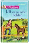 Lilli und das kleine Fohlen / Die Pferdeflüsterin Bd.5