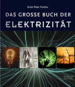Das große Buch der Elektrizität - Fischer, Ernst Peter