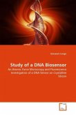 Study of a DNA Biosensor