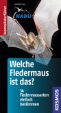 Welche Fledermaus ist das?