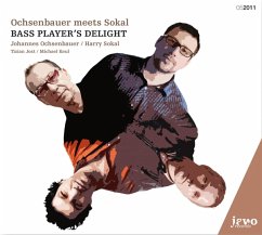 Ochsenbauer Meets Sokal-Bass Play - Ochsenbauer,Johannes/Sokal,Harry