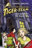 Das Geheimnis der grauen Villa / Ein Fall für dich und das Tiger-Team Bd.20