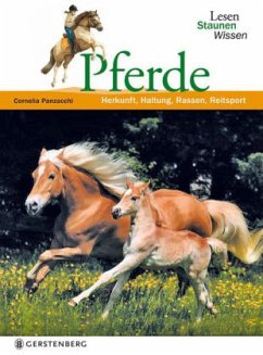 Pferde - Panzacchi, Cornelia