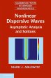 Nonlinear Dispersive Waves - Bild 1