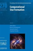 Computational Star Formation (IAU S270)