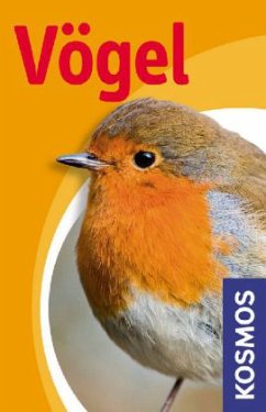 Vögel - Haag, Holger