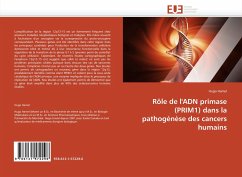 Rôle de l'ADN primase (PRIM1) dans la pathogénèse des cancers humains - Hamel, Hugo